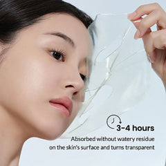 BIODANCE-Refreshing Sea Kelp Real Deep Mask for soothing & oil control- The Cosmetic Store New Zealand