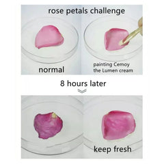 Cemoy The Lumen Series Lumen The Cream 50ml-Australian-The Cosmetic Store New Zealand 