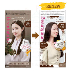 BeautyLabo Whip Hair Color Hair Color Restoration -Natural Brown