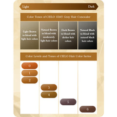 CIELO 1-Day Gray Hair Concealer Hair Color Comb -Light Brown 9ml
