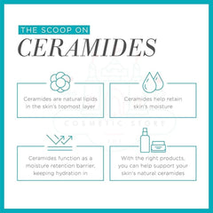 Curél Intensive Moisture Cream 40g