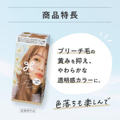 Liese Bleach-On Color Dye - Flannel Flower Beige 108ml