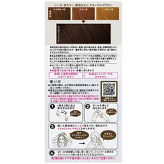 Liese Creamy Bubble color- Natural Brown
