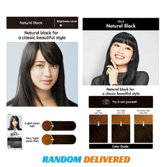 Liese Creamy Bubble Color Hair Colouring Kit Natural Series -# Natural Black