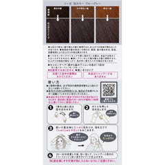 Liese Creamy Bubble color- Blue Gray