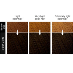 Liese Creamy Bubble color- Natural Black