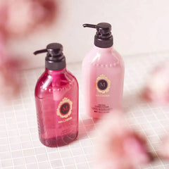 Air Feel Conditioner Ex 450ml