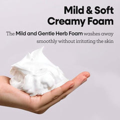 Fresh Herb Cleansing Foam  - Snail 170ml