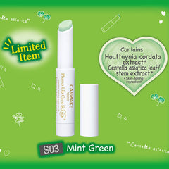 Plump Lip Care Scrub #S03 Mint Green