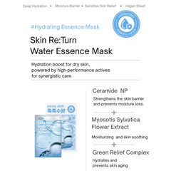 SNP SKIN RE:TURN WATER ESSENCE MASK 10 SHEETS-SNP-The Cosmetic Store New Zealand