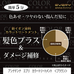 Every Color Treatment -Brown 160g