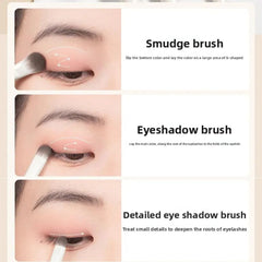 Instructions on applying eye shadow with different brushes on a person's eyelid.