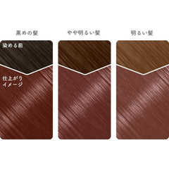 Beautylabo Whip Hair Color -Apricot Pink