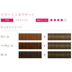 Beautylabo Whip Hair Color -Creamy Cappuccino