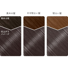 Beautylabo Whip Hair Color -Lagoon Ash