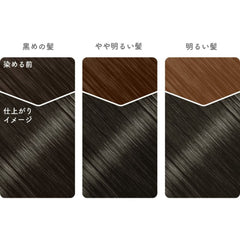 Beautylabo Whip Hair Color -Monotone Gray