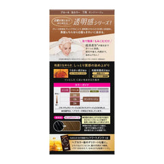 Blaune Foam Hair Color -1N Sand Beige 108ml