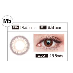 Celestial Glow #Radiant Brown (Monthly/1P)