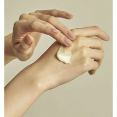 SOLID IN Ceramide Cream