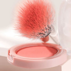 Makeup compact with pink blush and fluffy brush on a white background
