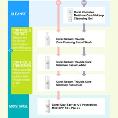 Curél Sebum Trouble Care Moisture Facial Lotion (Toner) 150ml