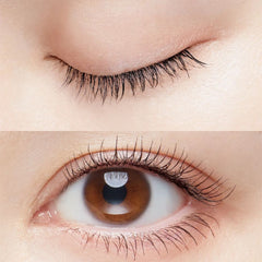 Perfect Extension Mascara