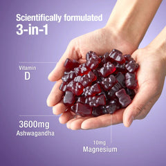 Teddi Lab Ashwagandha Gummy 60s