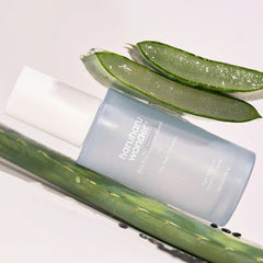 Haruharu Wonder skincare product with aloe vera leaves 