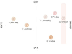 Decorte face powder #10 MISTY BEIGE - COSME DECORTÉ - The Cosmetic Store New Zealand