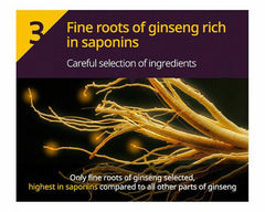 HAIR LOSS EXPERT CARE SHAMPOO #FOR SENSITIVE SCALP 400ML - RYO - The Cosmetic Store New Zealand