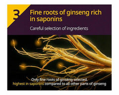 HAIR LOSS EXPERT CARE SHAMPOO # NORMAL & DRY SCALP 400ML - RYO - The Cosmetic Store New Zealand